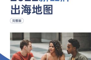 2022新品牌出海地图-有赞