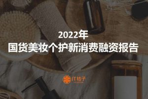 2022年国货美妆个护新消费融资报告-IT桔子