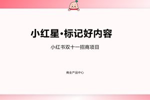 小红书·标记好内容-2022双十一招商通案（PDF）