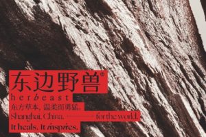 东边野兽BrandBook护肤品牌手册（PDF）