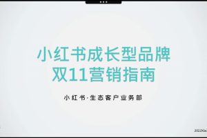 2022年成长型品牌双11营销指南-小红书