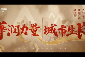 2022华润置地桂阳新媒体品牌传播年度方案（PDF）