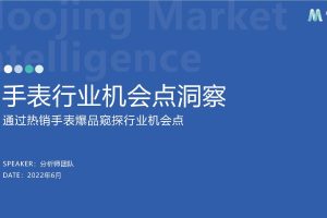 2022手表行业机会点洞察报告-魔镜市场情报