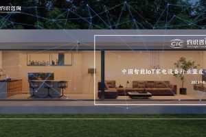 2022中国智能IoT家电设备行业蓝皮书-灼识咨询