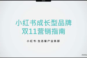 2022年小红书成长型品牌双11营销指南（PDF）