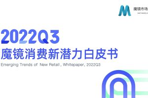 2022Q3消费新潜力白皮书-魔镜市场情报