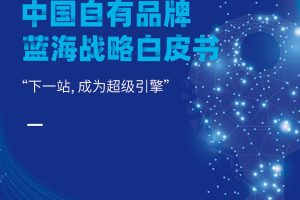 2022中国自有品牌蓝海战略白皮书-达曼咨询