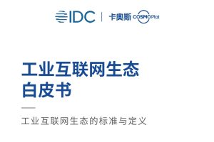 工业互联网生态白皮书-IDC