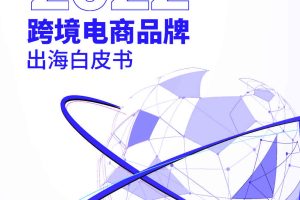 2022跨境电商品牌出海白皮书-YinoLink易诺&Shoplazza