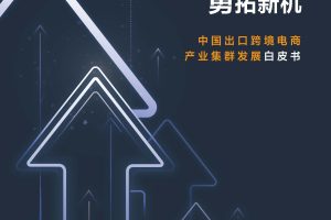 2022中国出口跨境电商产业集群发展白皮书-财新智库