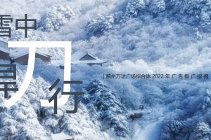 2022蓟州万达广场综合体年度广告推广提报方案（PDF）