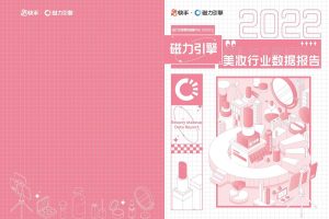 2022快手美妆行业数据报告-磁力引擎