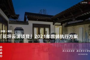 2021花坪云溪文旅小镇项目年度营销执行方案（PDF）