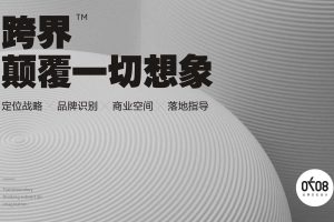 0708品牌设计公司介绍方案（PDF）