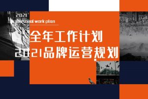 2021LioLio婴儿食品市场部全年计划及品牌运营规划方案（PPT）