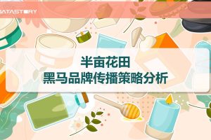 半亩花田美妆品牌传播策略分析（PDF）