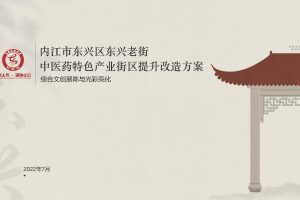 内江市东兴老街提升改造方案-综合文创展陈与氛围照明设计（PDF）