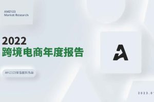 2022跨境电商年度报告-amz123