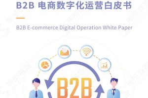 B2B电商数字化运营白皮书-神策研究院
