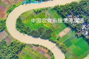 预见2023：中国农业趋势观察