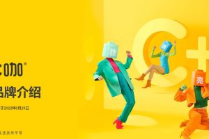 美妆护肤品牌C咖品牌手册（PDF）