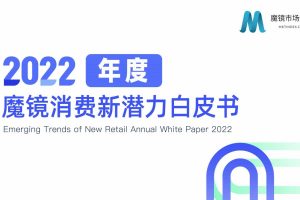2022年度消费新潜力白皮书-魔镜市场分析