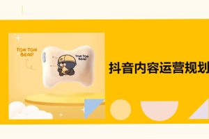 伊田健康按摩枕抖音蓝V账号内容运营方案（PDF）