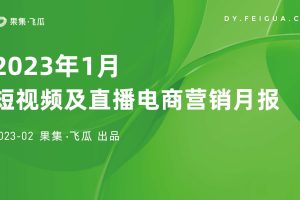 2023年1月短视频及直播电商营销月报-飞瓜数据