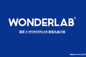 喜茶 X WONDERLAB 品牌联名礼盒产品介绍方案（PDF）