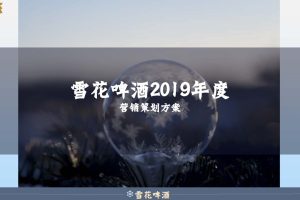 雪花啤酒2019年度营销策划方案（PDF）