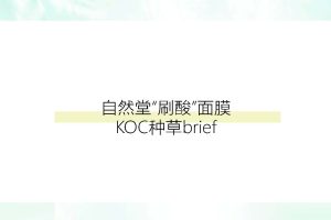 2021年自然堂刷酸面膜KOC种草brief（PDF）