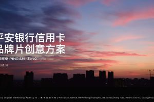 2022平安银行信用卡品牌广告片TVC创意方案（PDF）