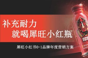 2022犀旺功能饮料小红书0-1品牌营销方案（PDF）