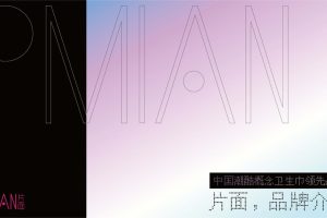 片面卫生巾品牌介绍方案-项目商业计划书（PDF）