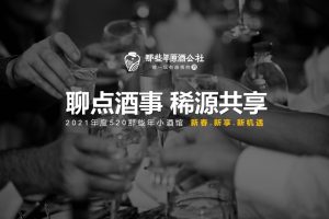 520那些年小酒馆商业模式-招商加盟手册（PDF）