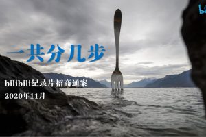哔哩哔哩纪录片《一共分几步》项目招商方案（PDF）