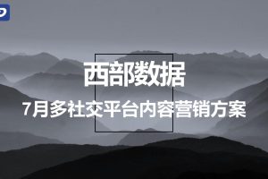 西部数据硬盘2022年7月多社交平台内容种草营销策划执行方案（PDF）