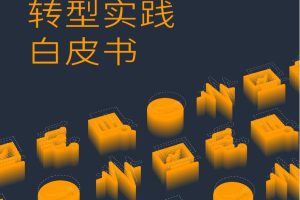 营销数字化转型实践白皮书-Morketing研究院