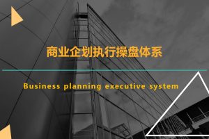 商业运营策划企划执行工作培训（PPT）