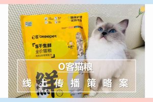 2021O客猫粮线上新媒体营销策划方案（PPT）