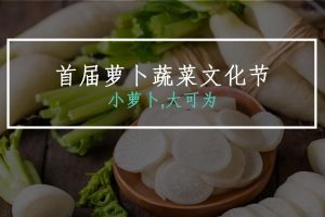 青山区首届萝卜蔬菜文化节活动策划及公关传播方案（PPT）