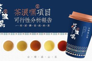 茶饮品牌茶郎嘿项目可行性分析报告（PDF）