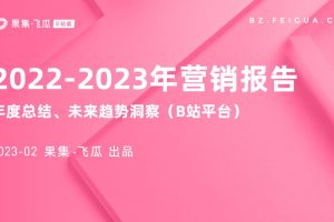 2022-2023年行业营销报告-年度总结及未来趋势洞察（B站平台）-果集