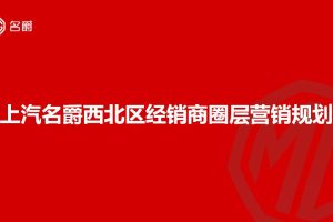 上汽名爵汽车西北区经销商圈层营销规划方案（PPT）