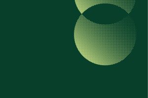 2023中国品牌服务商手册（PDF）