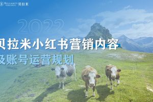 2022贝拉米儿童奶粉&辅食小红书营销内容及账号运营年度规划方案（PDF）