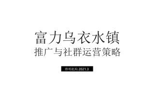 富力乌衣水镇2021年度品牌营销活动规划方案（抖音推广、社群运营策略）（PPT）
