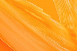 2022抖音电商年度报告：全域电商新征程-蝉妈妈