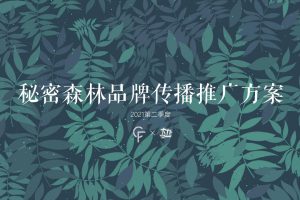 内衣品牌秘密森林2021Q2品牌传播推广方案（PDF）