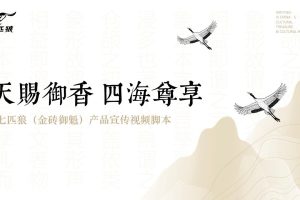 七匹狼香烟金砖御魁TVC产品宣传视频脚本规划（PPT）